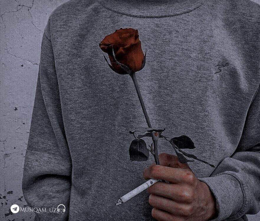 ���� 24827877 ������� ���, 28 ���, ���� ���������� � ������