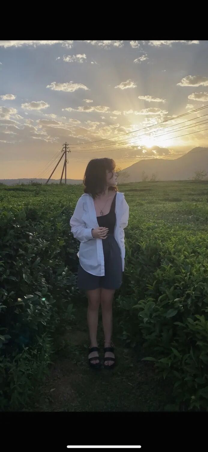  33785767  , 21 ,    -