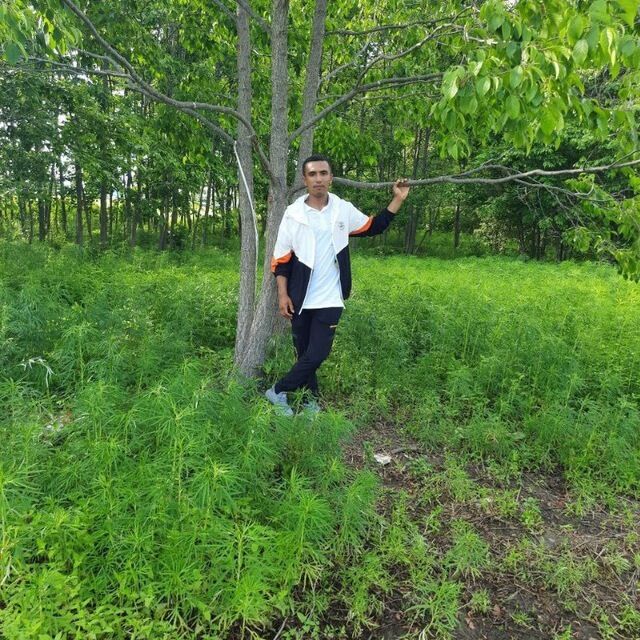 ���� 24208927 ������� ����, 26 ���, ���� ���������� � ������������