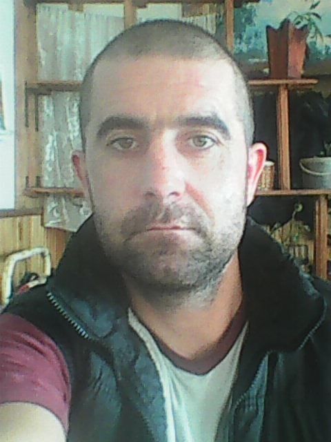  14388457  , 38 ,    