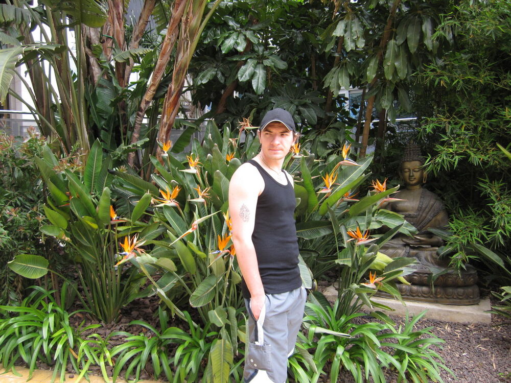 ���������� ��������, ���� ������� ����, 39 ���, ������������ ��� ������, ����� � ���������, c�������� ���������