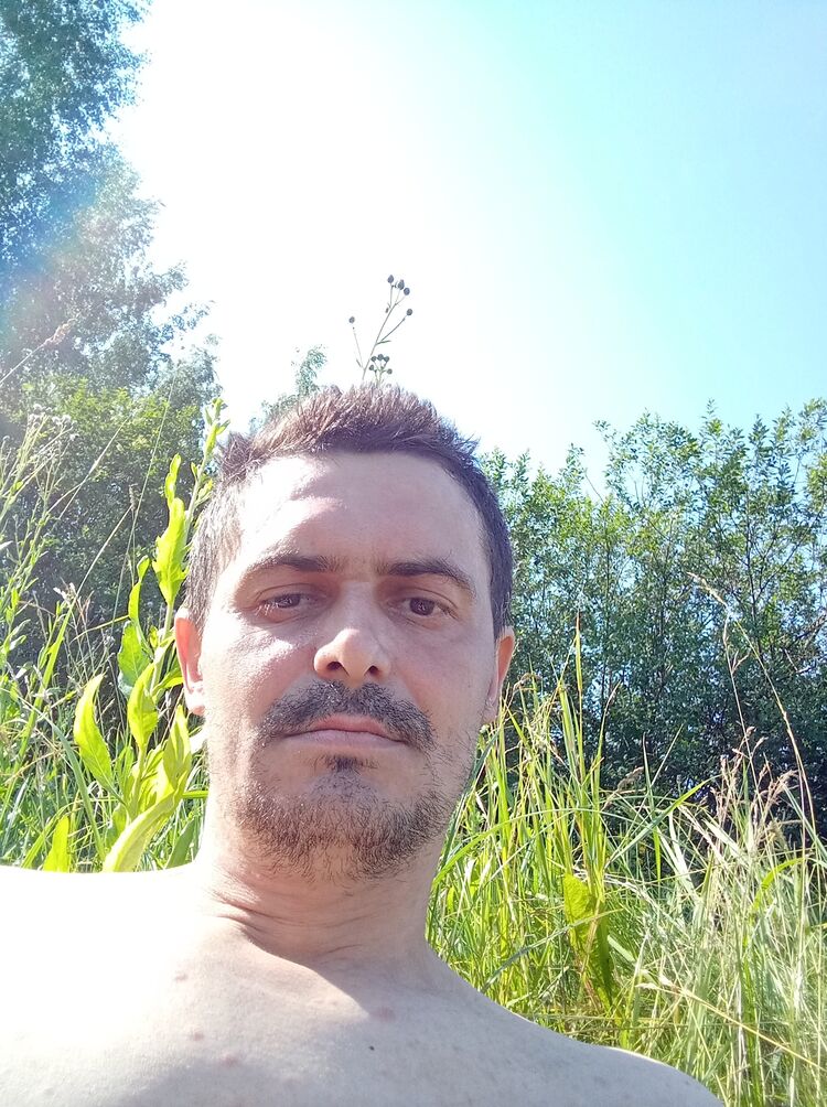  44385137  , 40 ,    