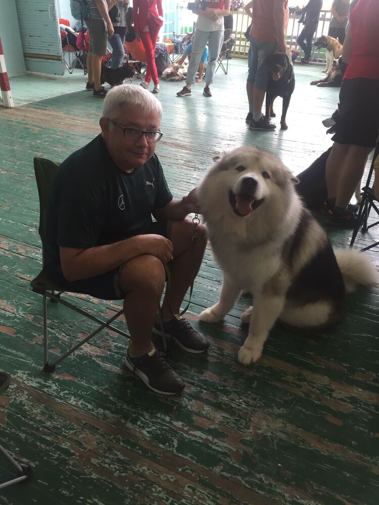 ���������� ��������, ���� ������� ������, 57 ���, ������������ ��� ������, ����� � ���������, c�������� ���������