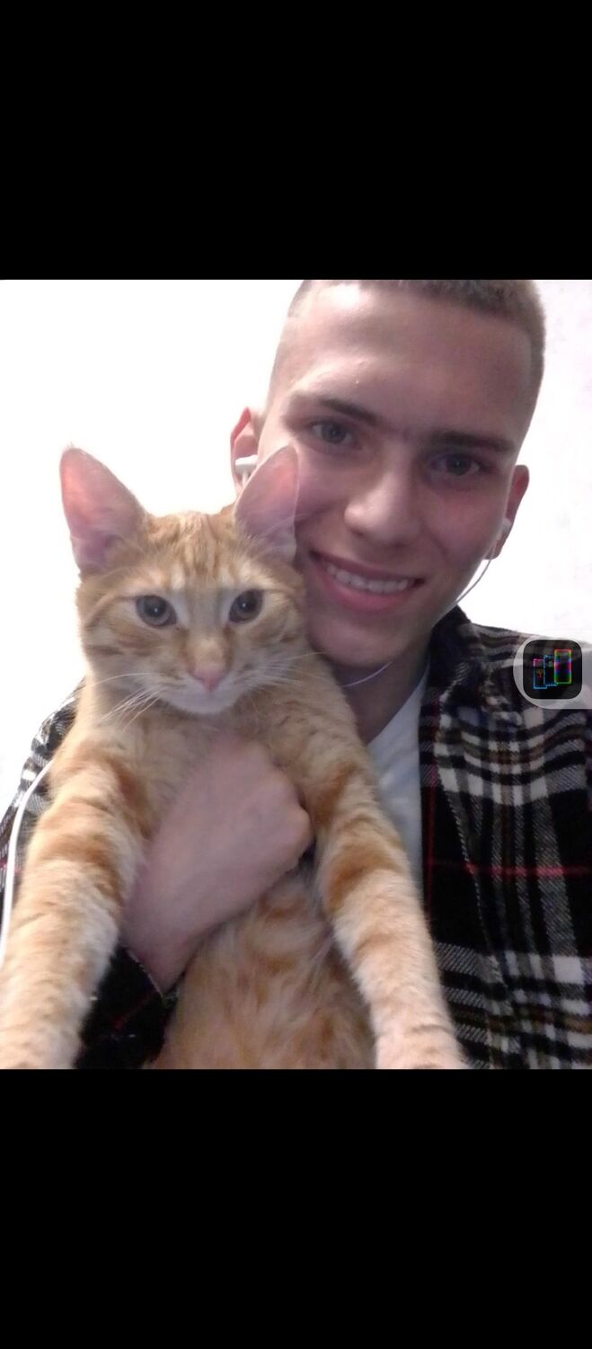 ���������� �����������, ���� ����� �������, 22 ����, ������������ ��� ������, ����� � ���������