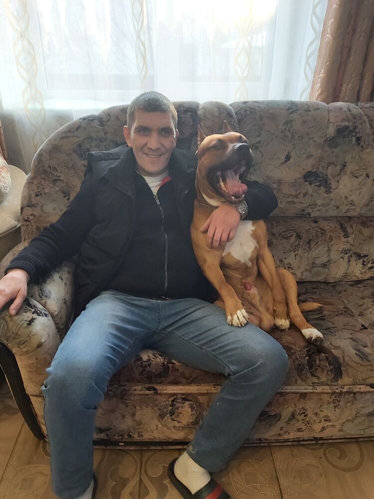 ���������� ������, ���� ������� �������, 38 ���, ������������ ��� c�������� ���������