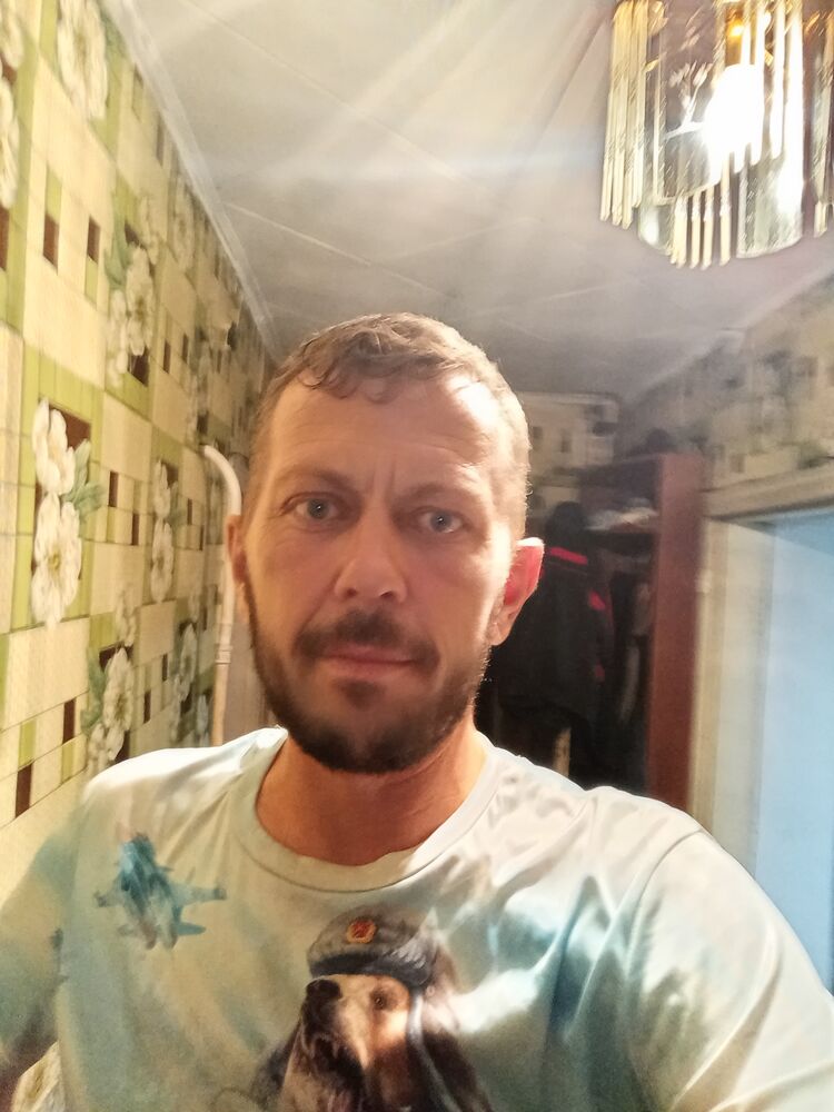  40508587  , 50 ,    
