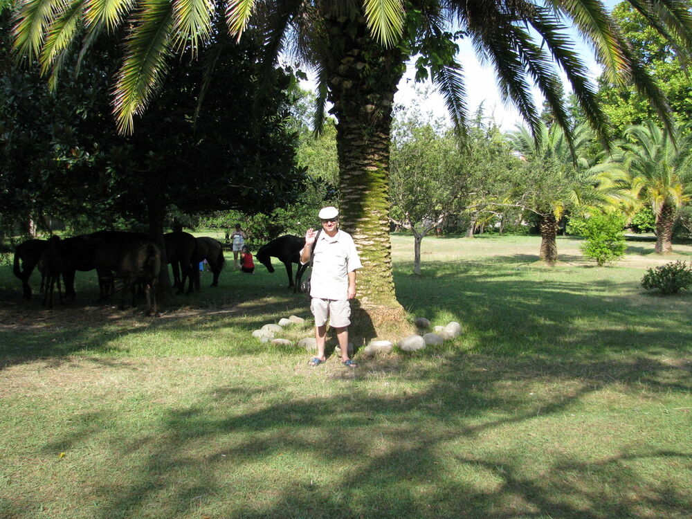 ���� 13306667 ������� Vano, 58 ���, ���� ���������� � ��������