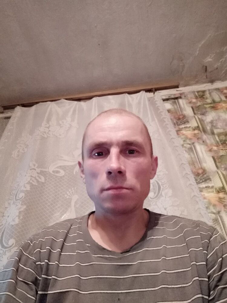  15583477  , 45 ,    