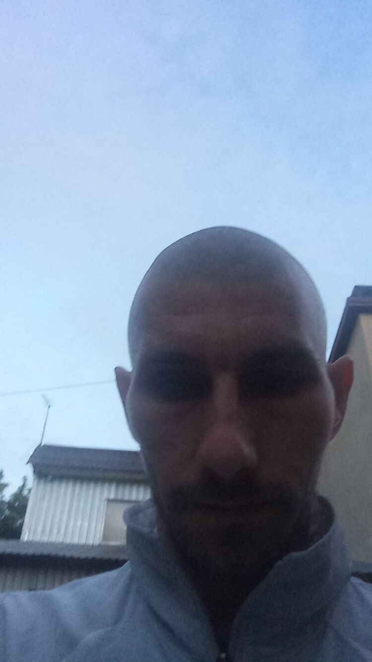  53646637  , 39 ,    