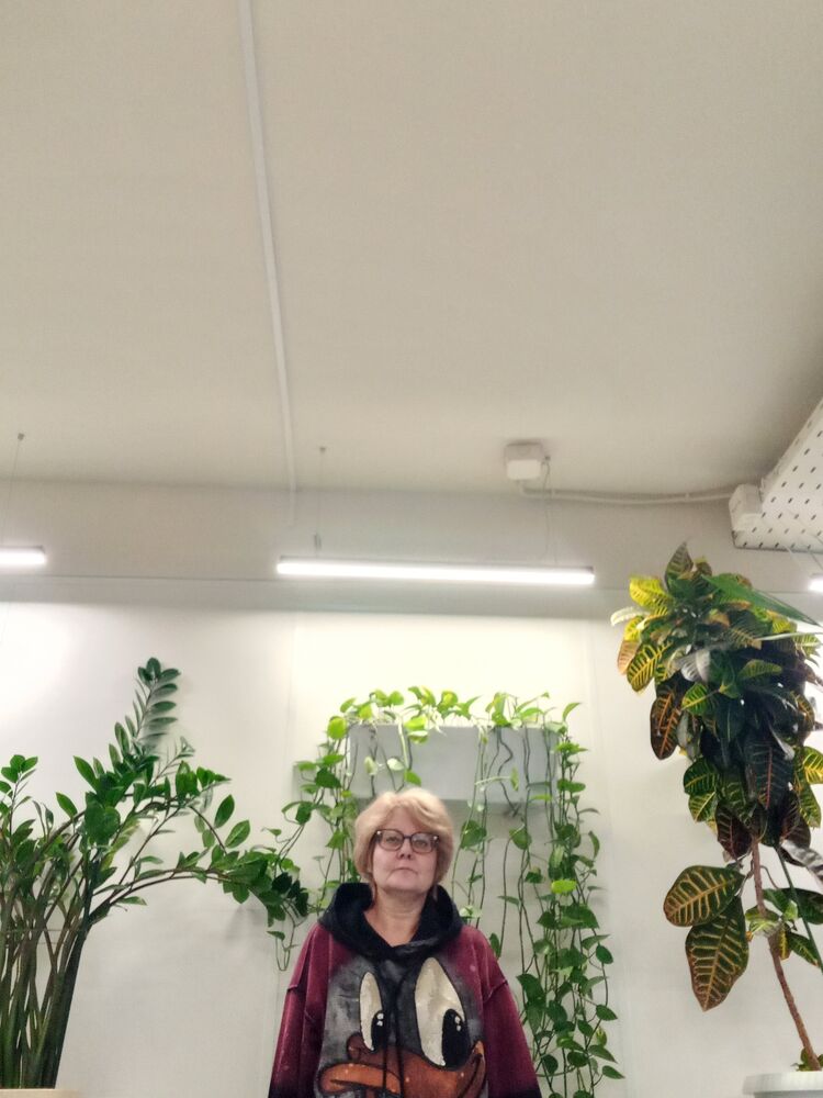 ���������� ������, ���� ������� ������, 55 ���, ������������ ��� c�������� ���������, ���������