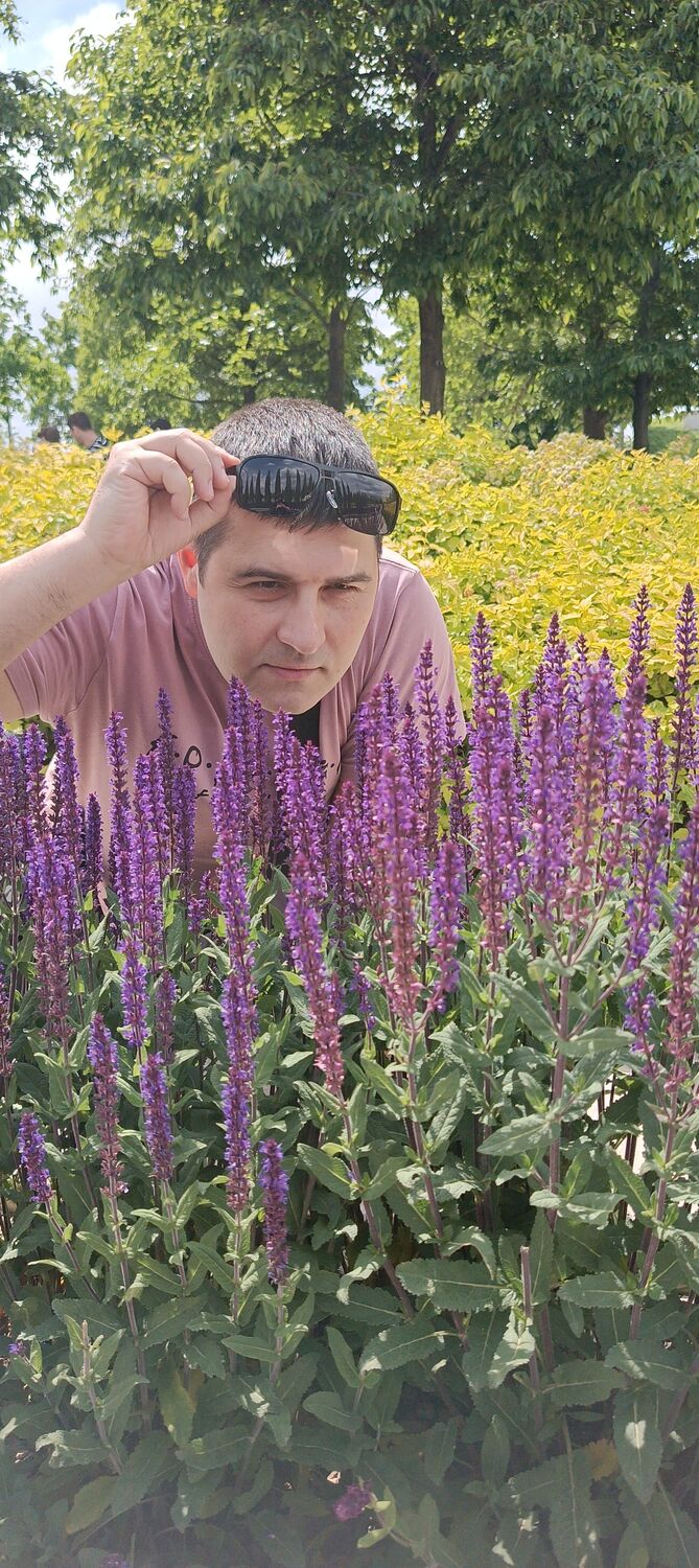  44039737  Andrey, 40 ,    