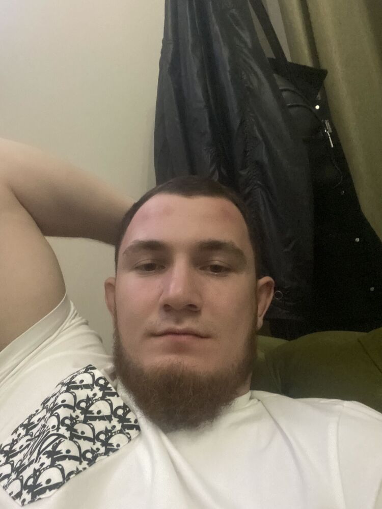  43462707  , 28 ,    