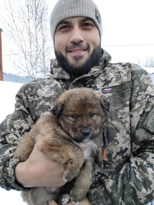 ���� 39443867 ������� ��������, 36 ���, ���� ���������� � ������