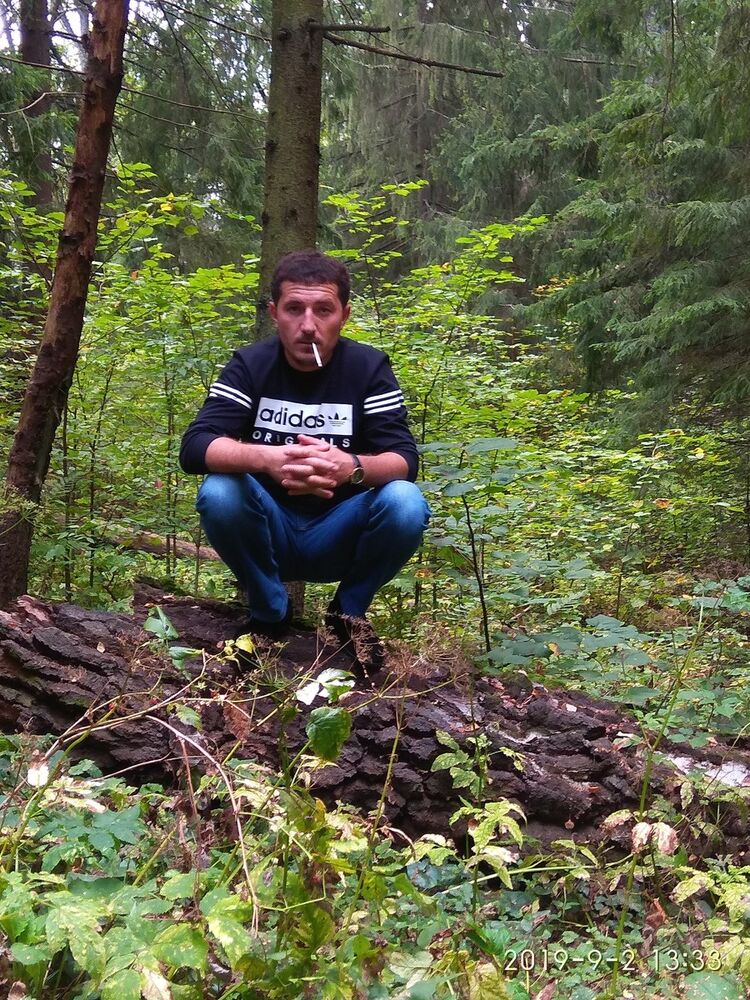 ���� 17337637 ������� ����, 40 ���, ���� ���������� � ������