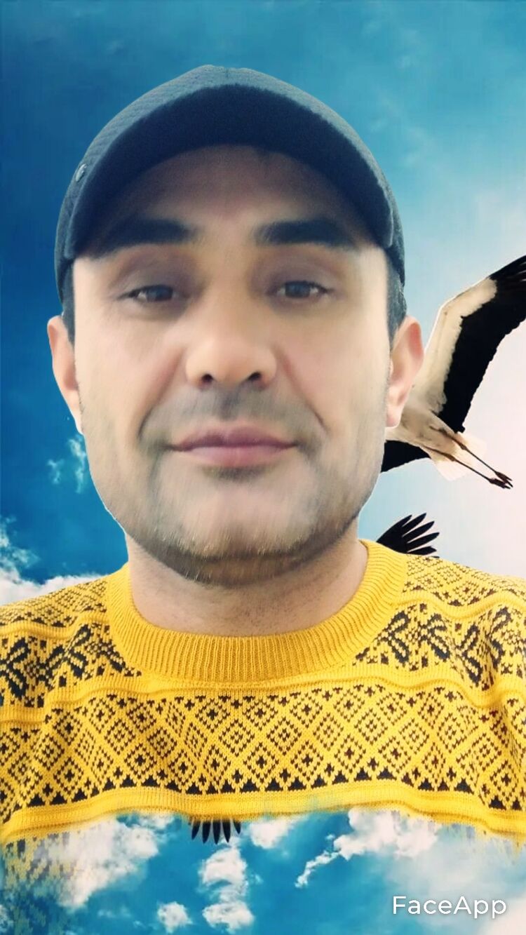  31660717  , 48 ,    -