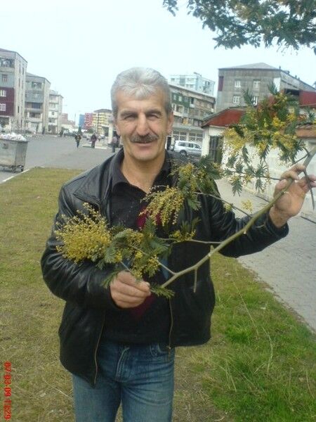  5636857  Ramini, 62 ,    