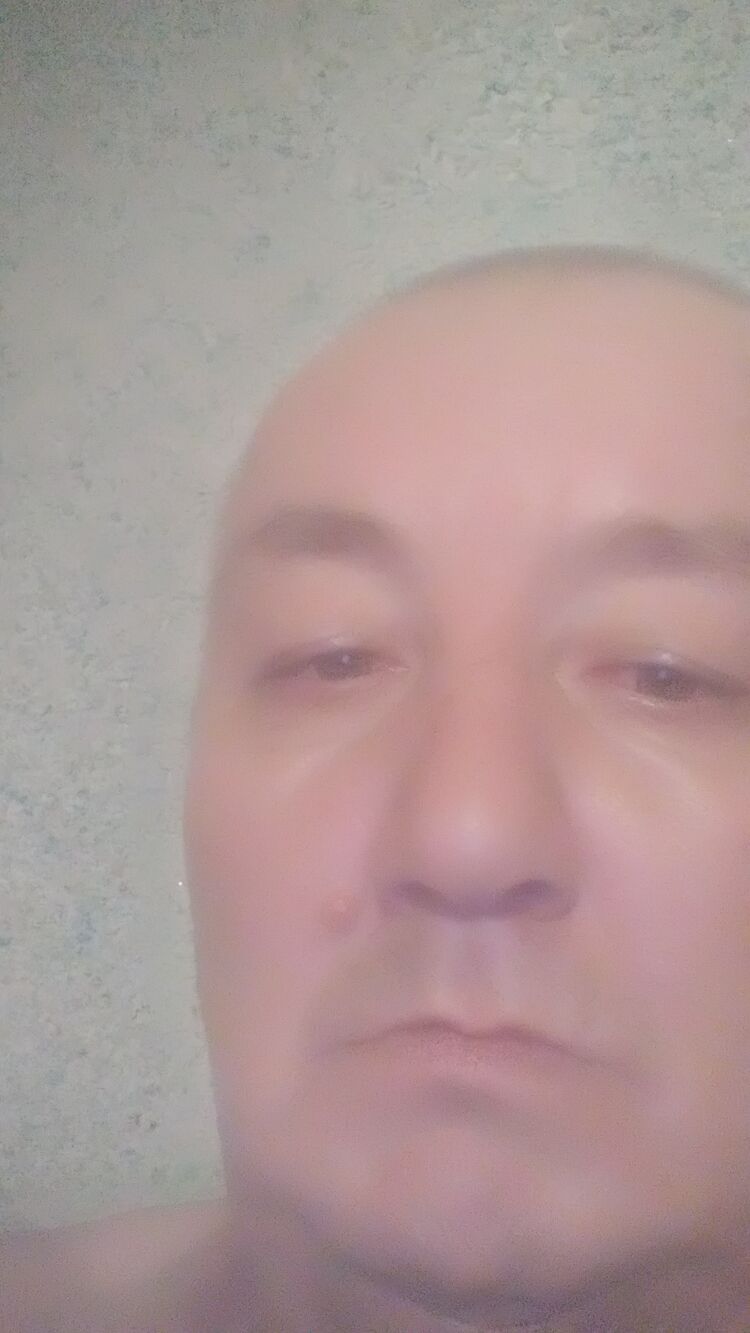  44663577  , 55 ,    