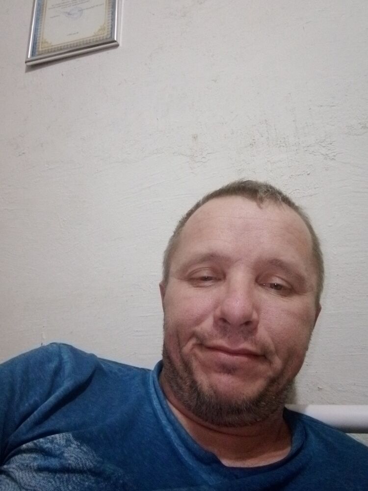  33179667  , 43 ,    