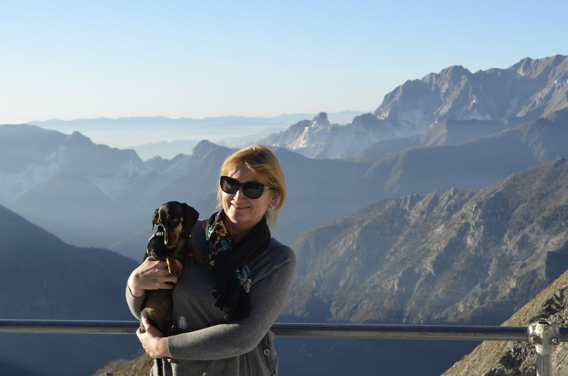 ���� 11521737 ������� Al, 55 ���, ���� ���������� � Villafranca Di Verona