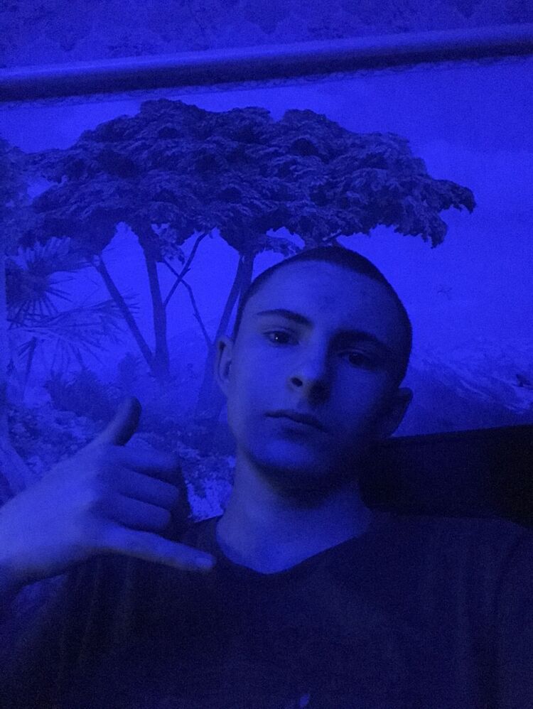  48579247  , 18 ,    