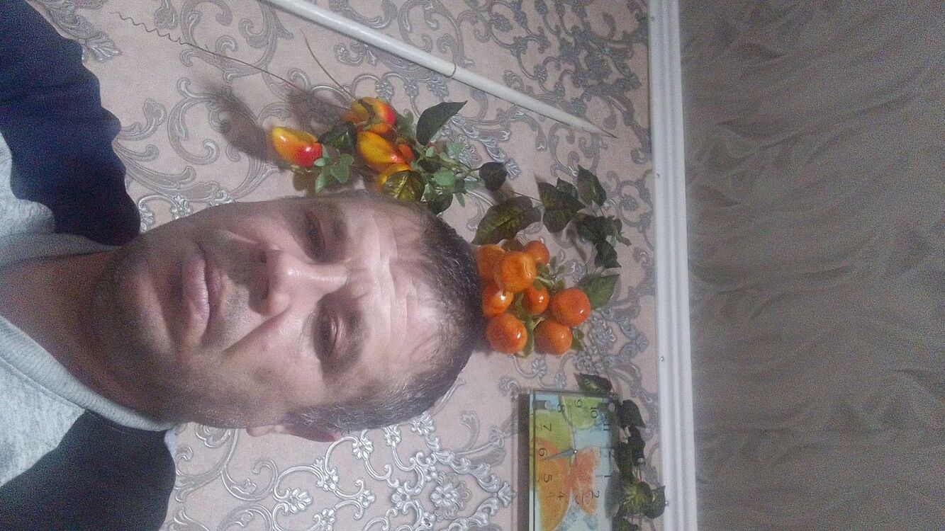  40684677  , 41 ,    