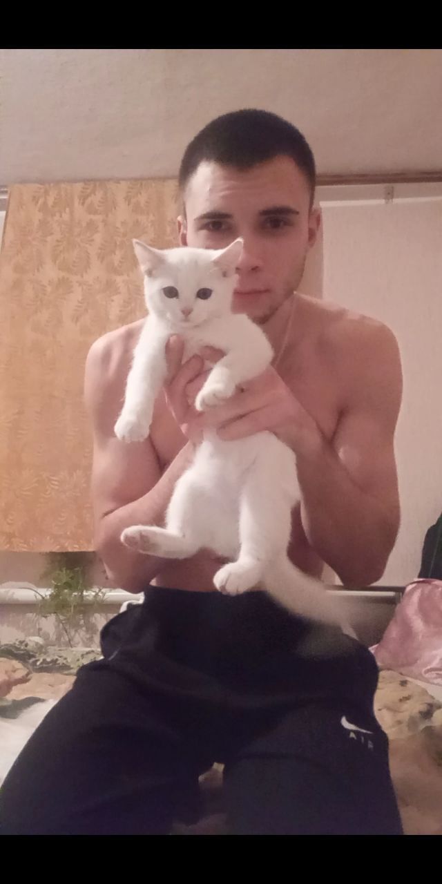 ���� 25274187 ����� �������, 23 ����, ���� ���������� � ���������������