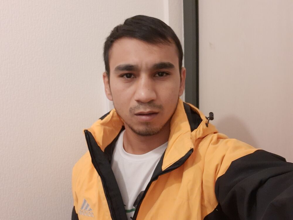  41979407  , 31 ,    -