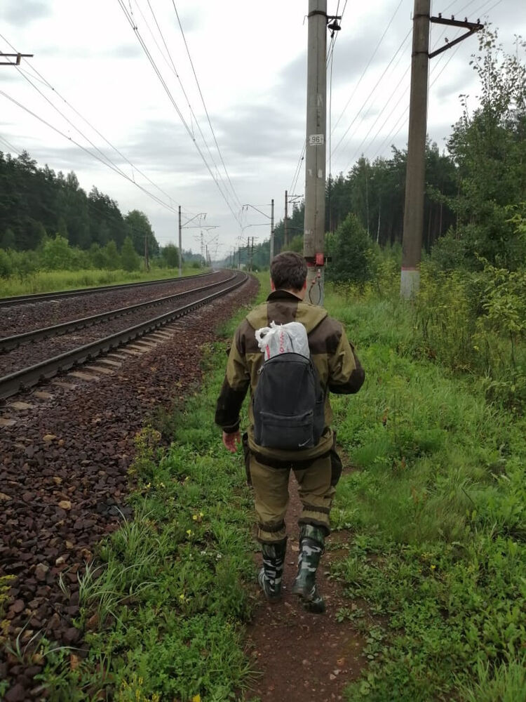 ���������� ������, ���� ������� ������, 36 ���, ������������ ��� ������, ����� � ���������