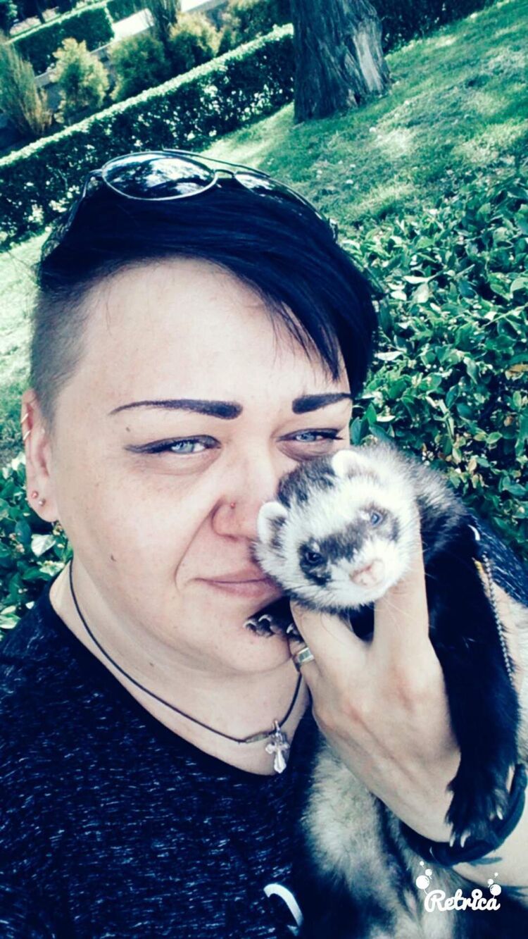 ���� 51394947 ������� ��������, 42 ����, ���� ���������� � ����������