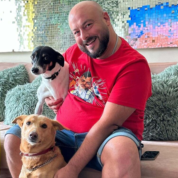 ���� 50911997 ������� ����, 36 ���, ���� ���������� � �������