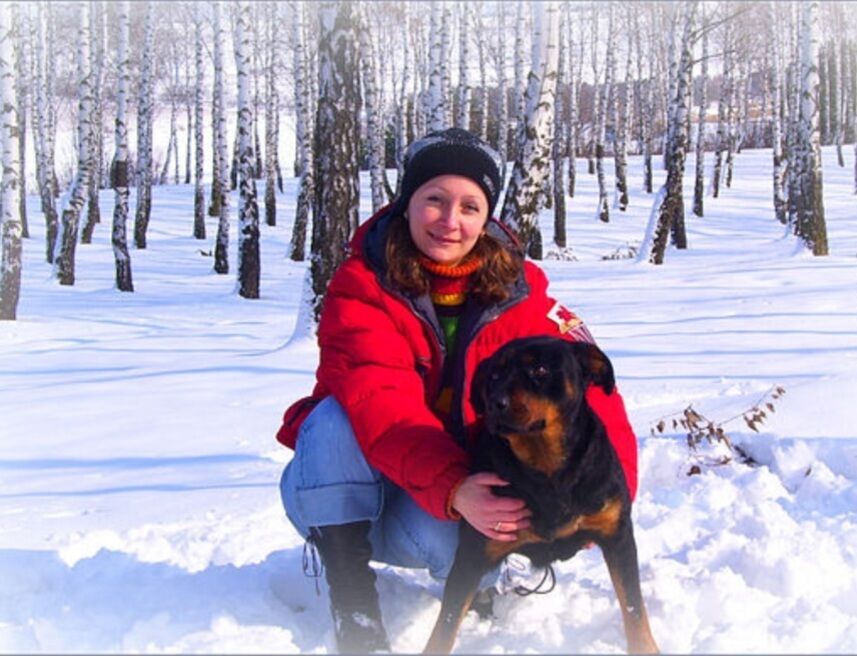 ���� 55131407 ������� ����, 45 ���, ���� ���������� � ��������