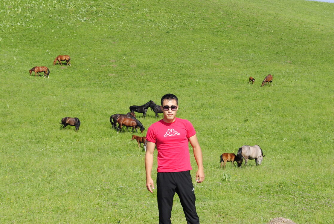  4656547  Arman, 36 ,    