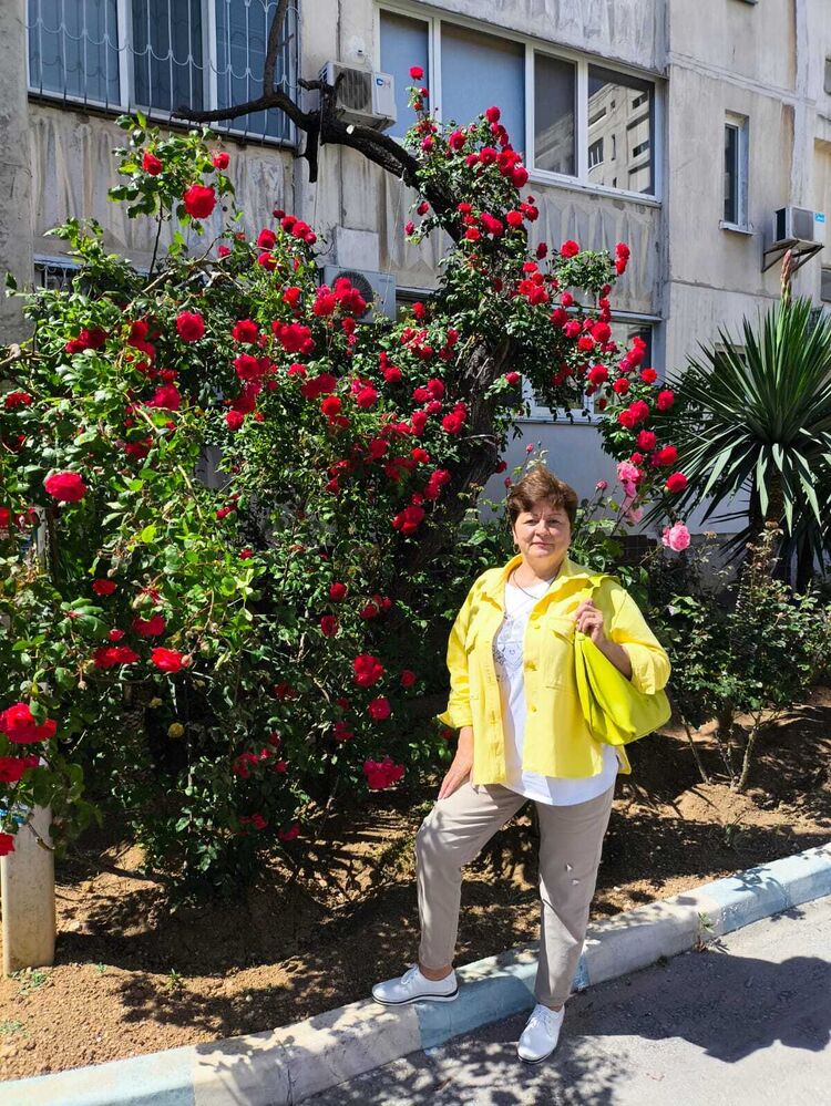 ���� 55351867 ������� ��������, 62 ����, ���� ���������� � �����������