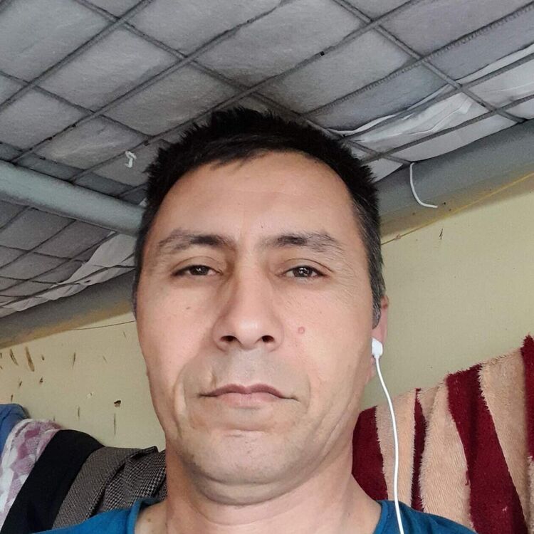 ���� 34981537 ������� �������, 48 ���, ���� ���������� � ������