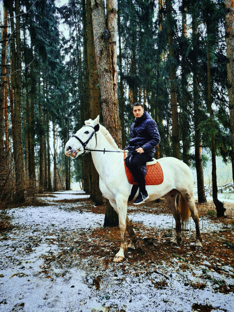 ���������� ����������, ���� ������� ������, 31 ���, ������������ ��� ������, ����� � ���������