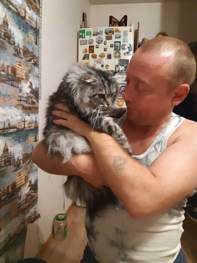 ���������� ���������, ���� ������� ��������, 47 ���, ������������ ��� ����� � ���������