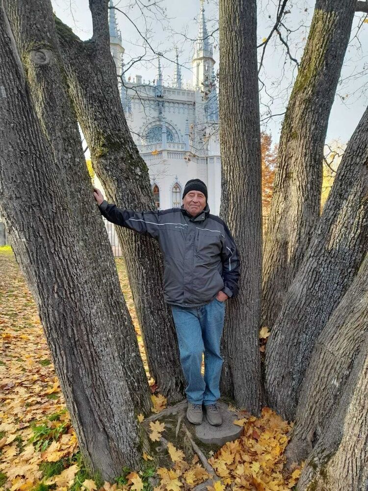 ���������� �����-���������, ���� ������� �������, 72 ����, ������������ ��� ������, ����� � ���������