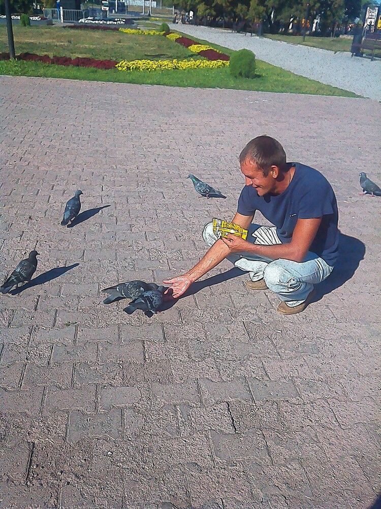 ���������� ������, ���� ������� ����, 44 ����, ������������ ��� ������, ����� � ���������, c�������� ���������