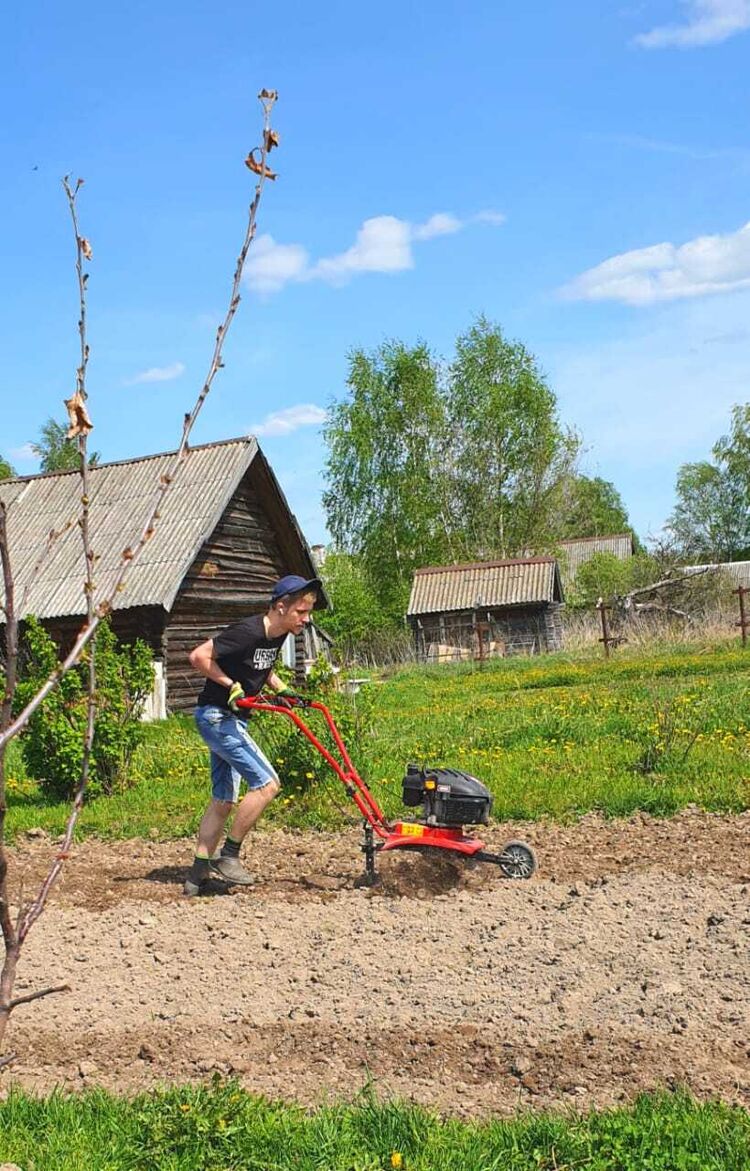 ���������� ���������, ���� ������� ����, 26 ���, ������������ ��� ����� � ���������, c�������� ���������, ���������