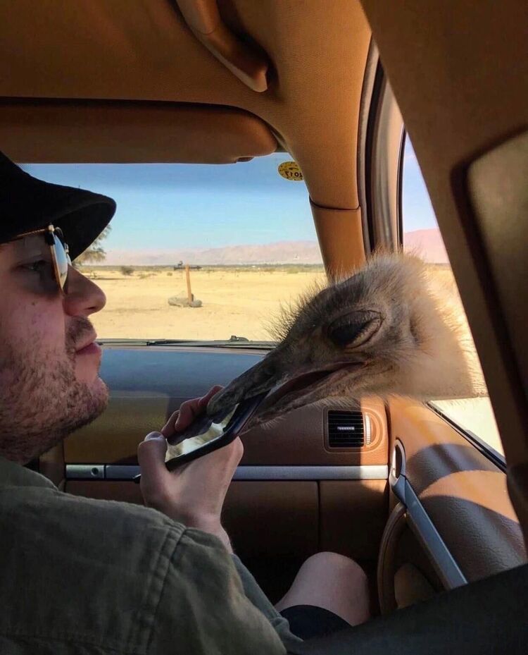 ���� 30410647 ������� �����, 34 ����, ���� ���������� � �����������