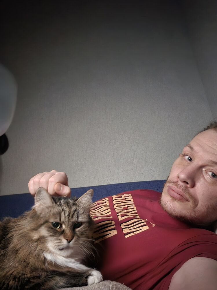 ���� 56057787 ������� Voron, 41 ���, ���� ���������� � �����