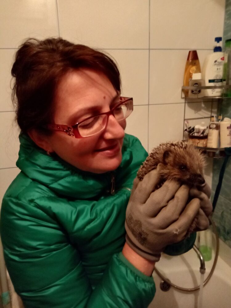 ���� 24081527 ������� �����, 55 ���, ���� ���������� � �����-����������