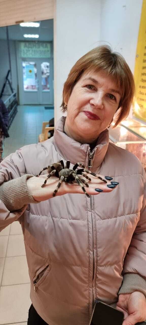  ,   , 59 ,   c , 