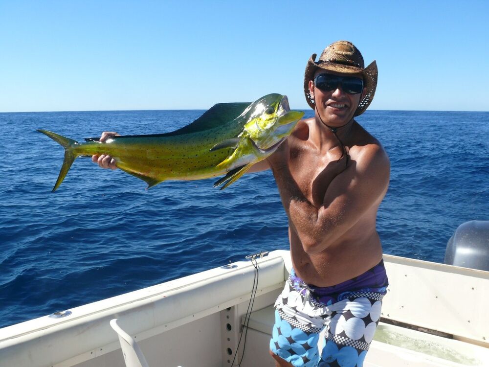 ���������� ����, ���� ������� ��������, 42 ����, ������������ ��� ������, ����� � ���������, c�������� ���������, ���������