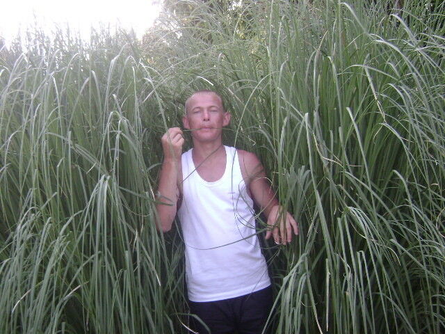 ���� 11339417 ������� �������, 41 ���, ���� ���������� � ����������