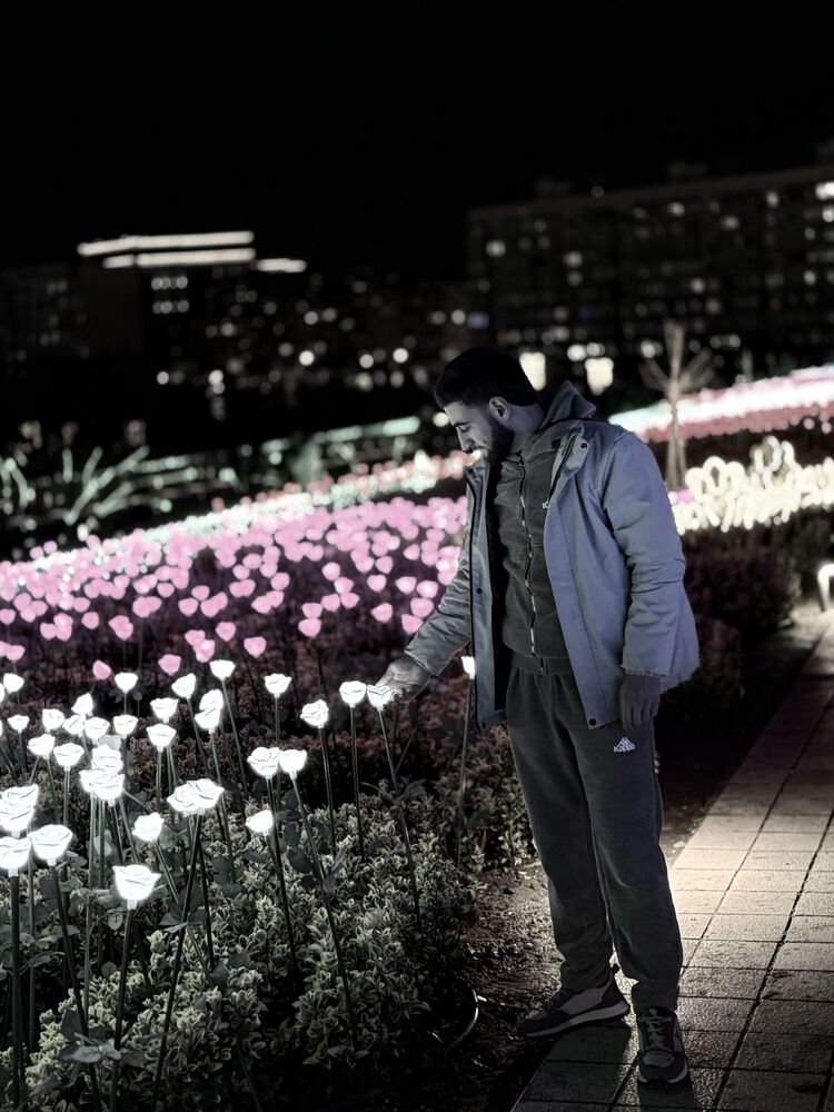 ���������� ���������, ���� ����� ���, 24 ����, ������������ ��� ����� � ���������, c�������� ���������