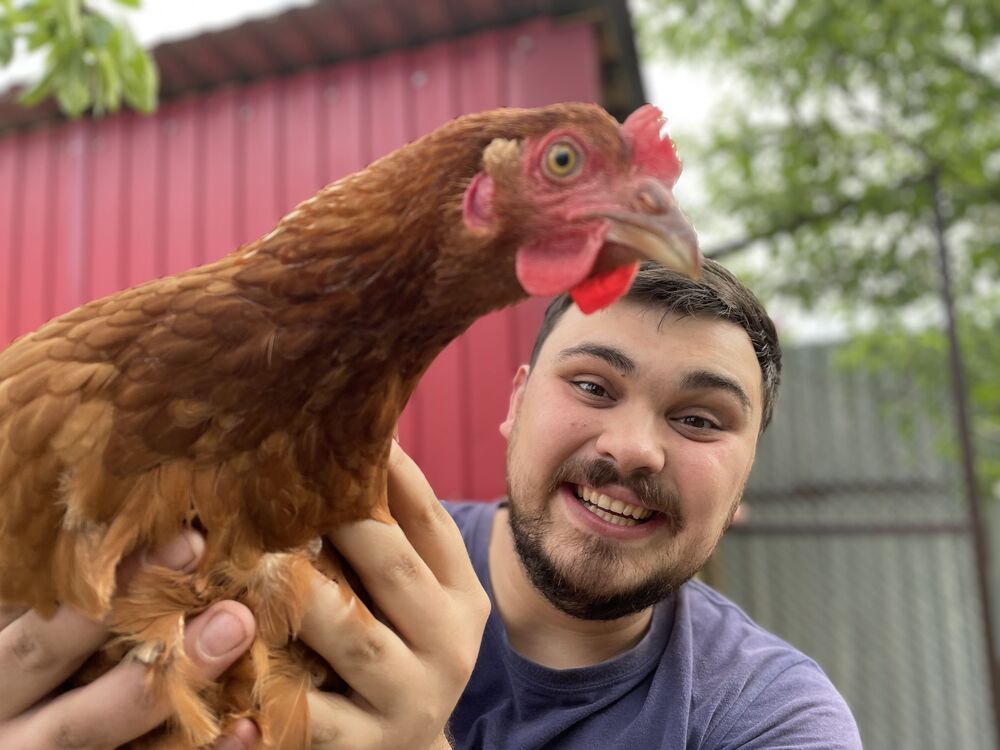 ���������� ����������, ���� ������� �����, 33 ����, ������������ ��� ������, ����� � ���������, c�������� ���������, ���������