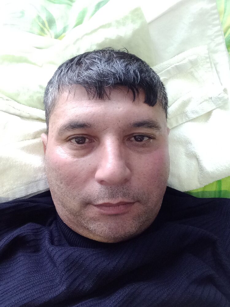  25037327  , 49 ,    