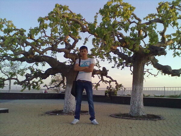 ���� 9863367 ������� Rollan, 38 ���, ���� ���������� � ���������