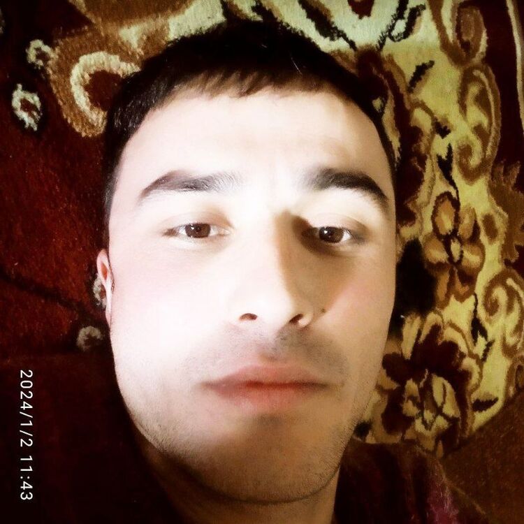  42305687  , 31 ,    
